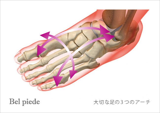 大切な足の3つのアーチ